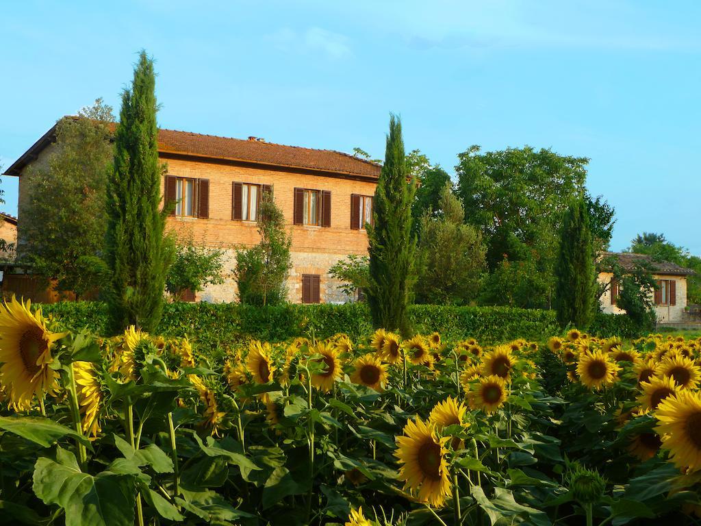 Agriturismo Santa Giuditta Sovicille Eksteriør billede